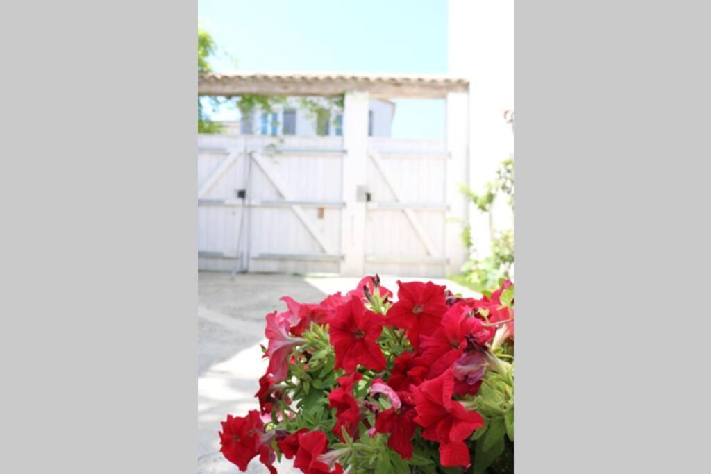 La Virginie - Suite Ile'O La Couarde-sur-Mer Exterior photo